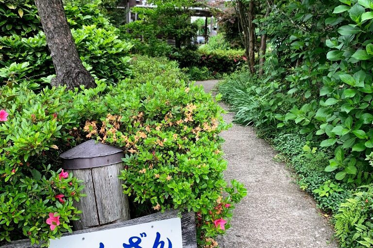 定休日のお昼